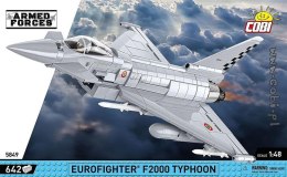 Eurofighter F2000 Typhoon Cobi