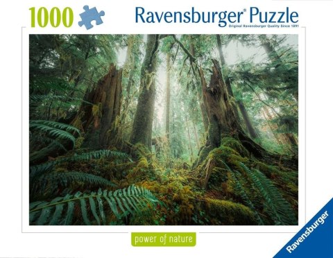 Puzzle 1000 Lasy Ravensburger