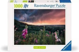 Puzzle 1000 Nadchodzi burza Ravensburger